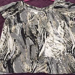 A top by moonlight bay